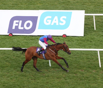 La Bague Au Roi steals the show at the 2019 Flogas Novice Chase